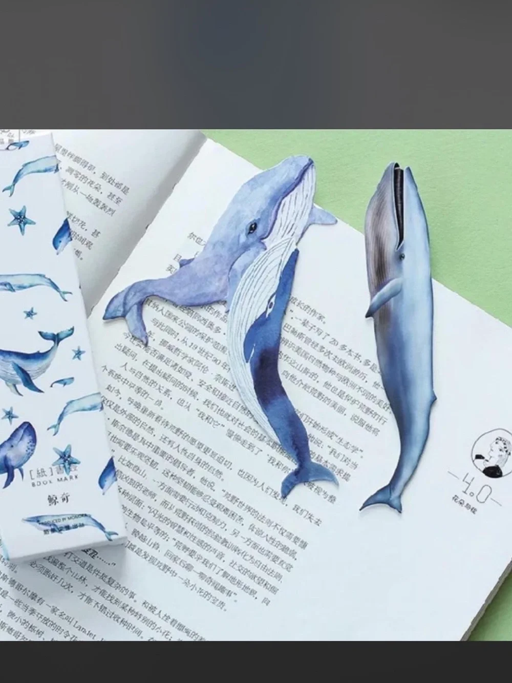 N/A decorative whale